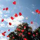 Soltar globos al cielo no es tan bonito como parece.